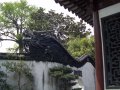 045.yuyuan dragon.jpg